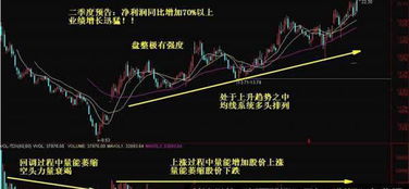 如何判断一个股票的股性