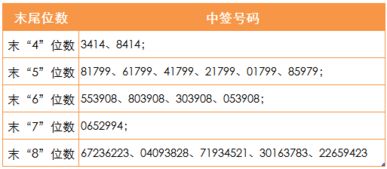 股票如何查询中签的股票