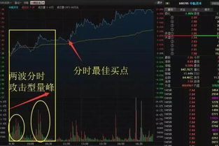 大盘跌停后如何选股票