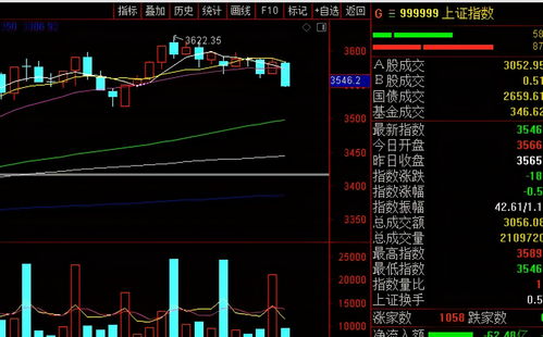 大盘跌停后如何选股票
