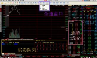 股票软件如何看委买队列