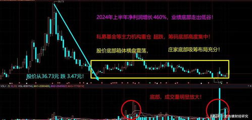 如何看到股票的投资