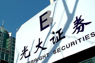 怎么向证券融资
