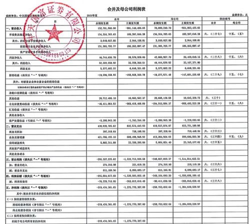 中天证券怎么查利润表