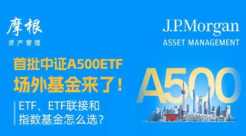 中国证券怎么样