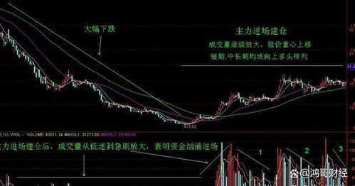 暗股如何保全股票