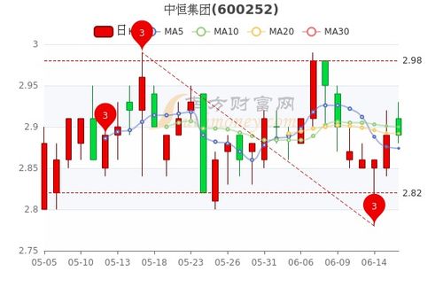 中恒集团股票如何