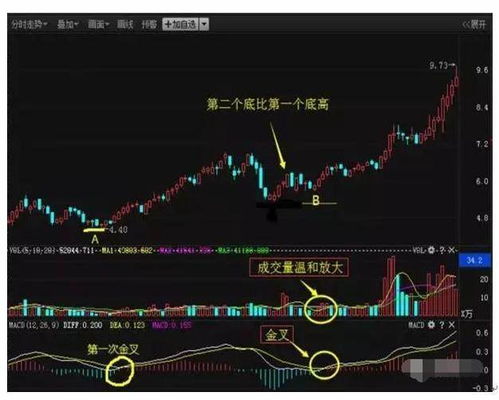 如何选出特定条件的股票