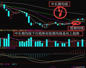 股票如何成为专家