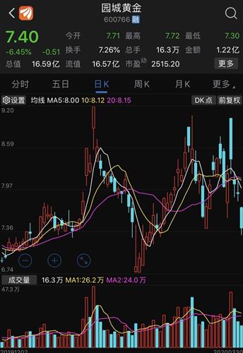黄金龙头股票如何