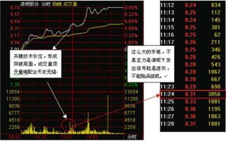 如何获得股票账号