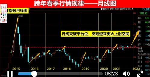 如何查看股票池