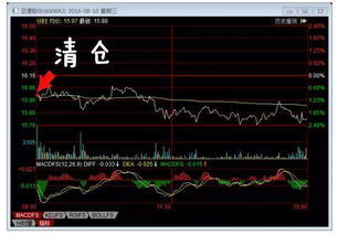 如何长期持股票
