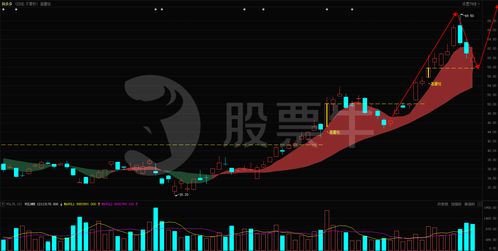 如何投研股票