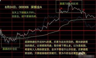 如何玩好可怕的股票行为