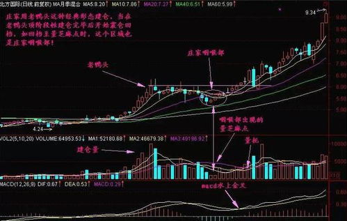 如何消除股票过滤