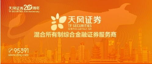 证券怎么党建