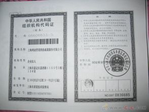 证券机构代码怎么查