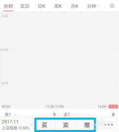科创板交易如何查询股票