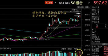 如何运营五个板块的股票 如何运营五个板块的股票