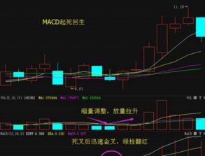 如何查看股票是否在拉升