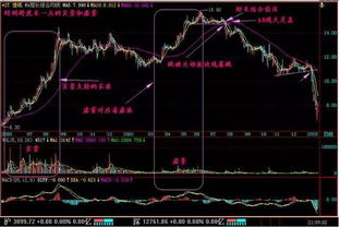 如何查看3元以下的股票