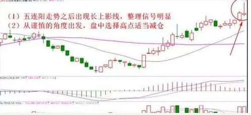 如何查一个股票的投资方