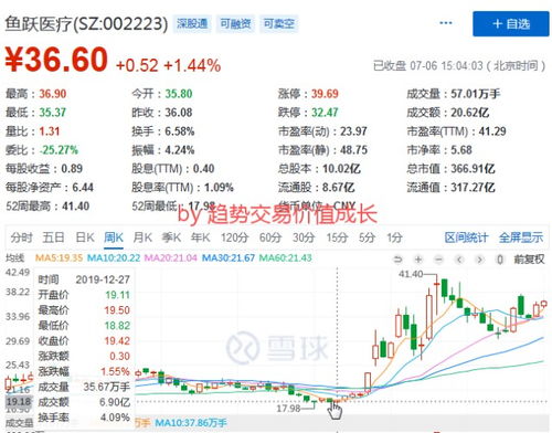 在股票投资中如何自由投