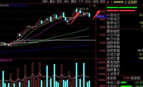 团队如何选择股票