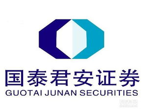 国泰证券怎么用