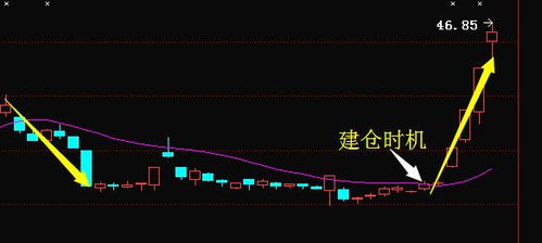 如何关注一个新股票