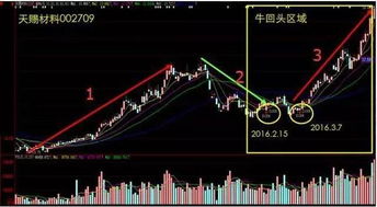 如何买能涨的股票