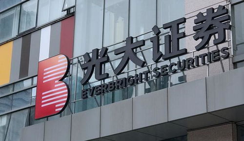 怎么联系光大证券