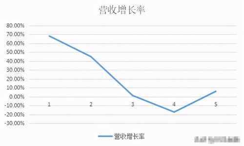 股票如何每天收益2倍 股票如何每天收益2倍