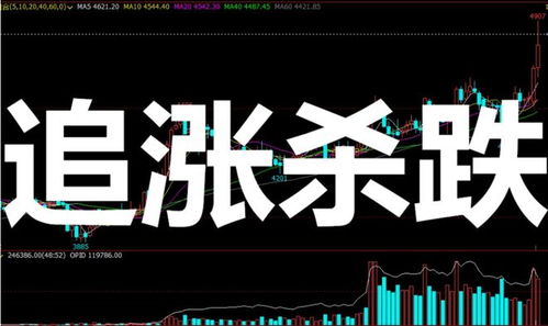 小白怎么入证券圈