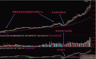 如何找对股票