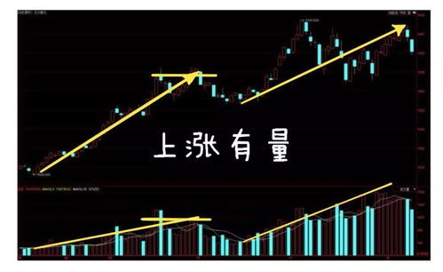如何提高股票的波动
