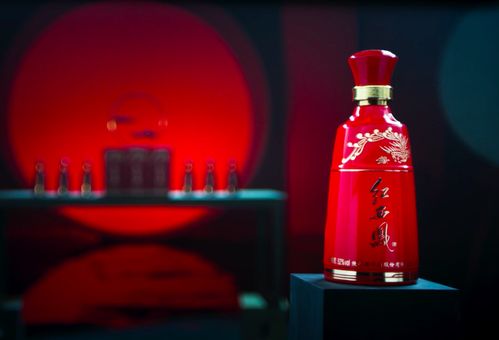 西凤酒股票如何