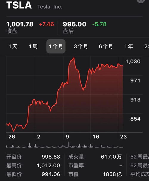 特斯拉股票如何