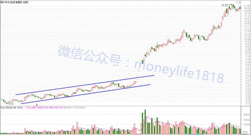 如何找一只股票的基本面