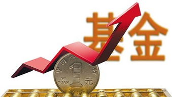 股票和证券如何投资基金 股票和证券如何投资基金