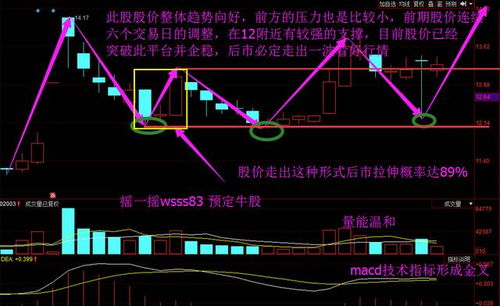 如何确定股票是哪只