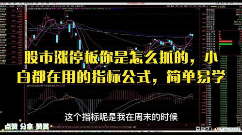 小白如何抓住股票