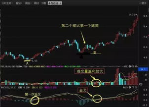 如何查看股票上涨的条件