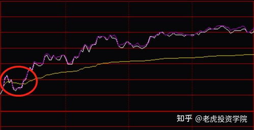 如何查看股票上涨的条件