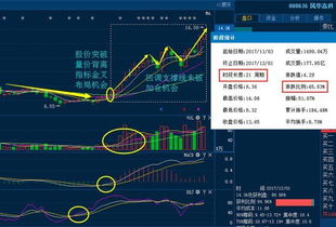 如何确定st股票