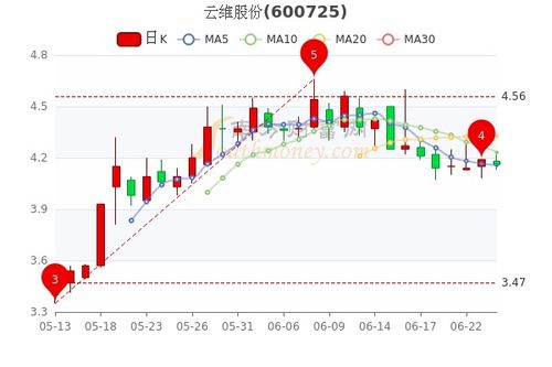 云维股票如何