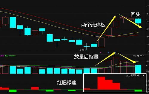 散户如何投资股票