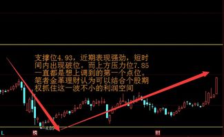 股票如何放大利润