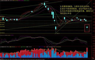 大盘短线如何补仓股票 大盘短线如何补仓股票